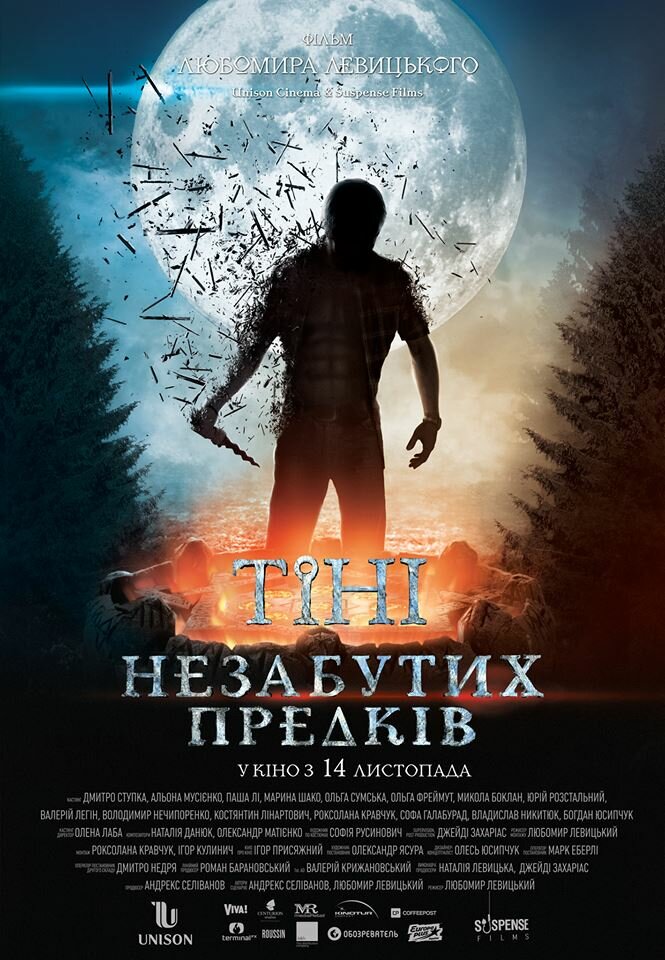 Тени незабытых предков (2013) постер