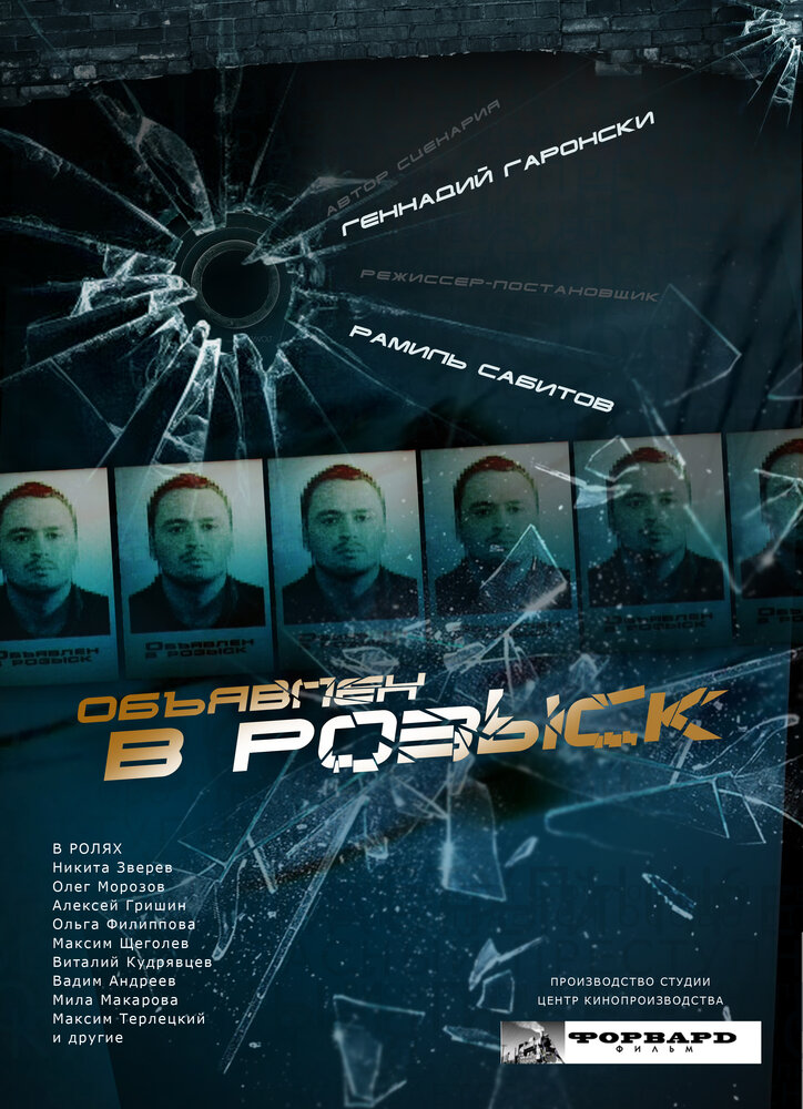 Объявлен в розыск (2010) постер